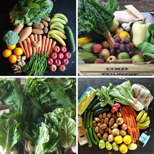 Cold Country Organics home delivered seasonal fresh produce boxes