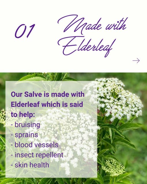 merry little elderberry organic salve facts-elderleaf
