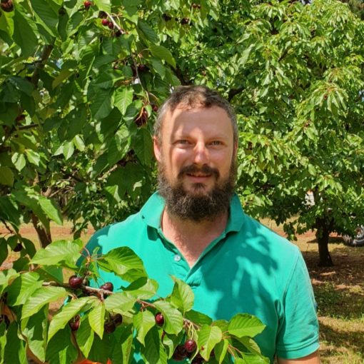 Greenhill Orchards Tom Yeomans spray free cherries 2024